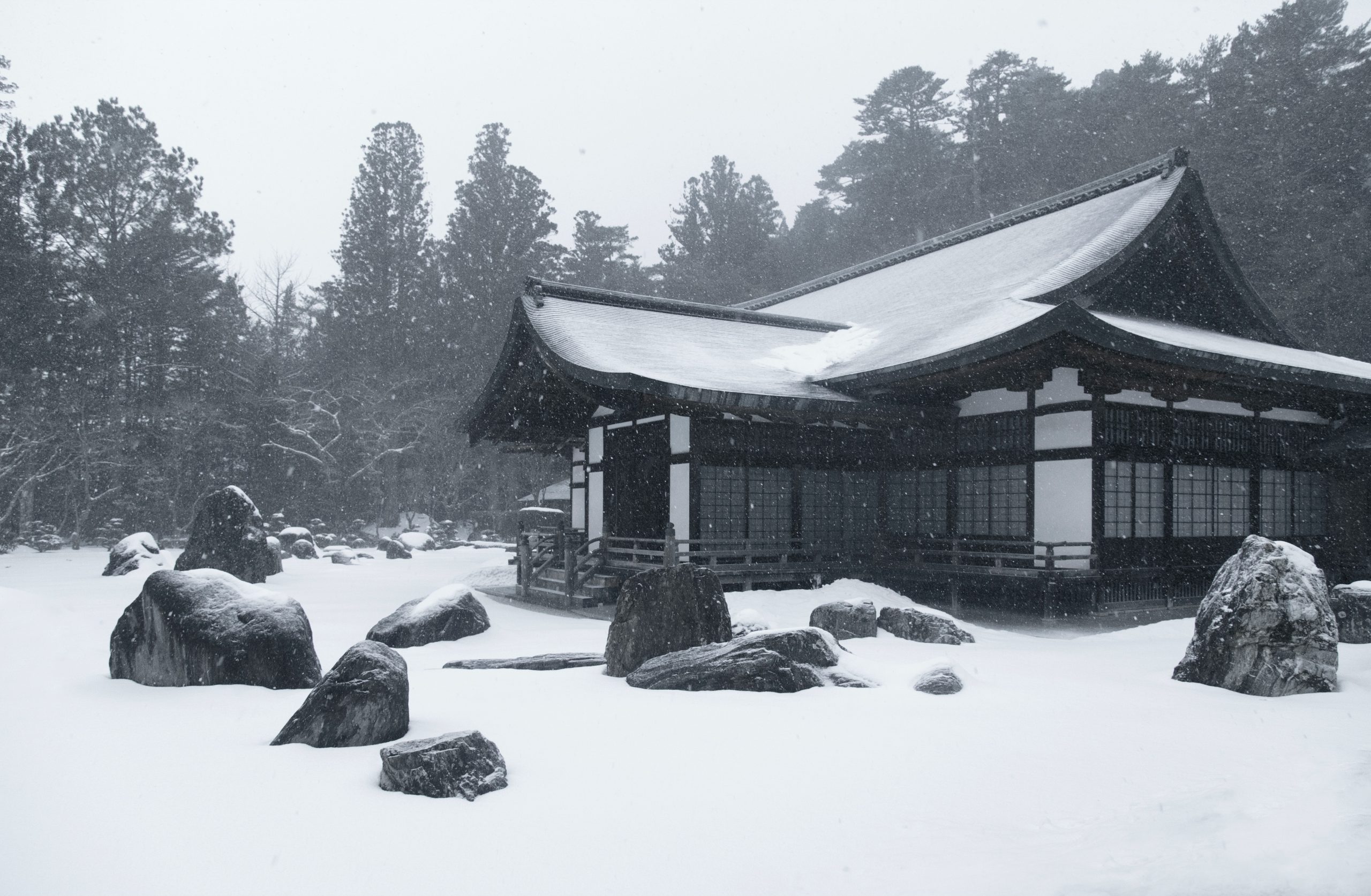 Winter