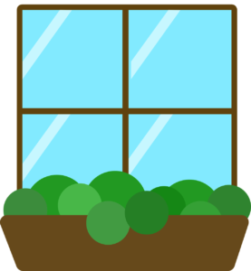 A window.